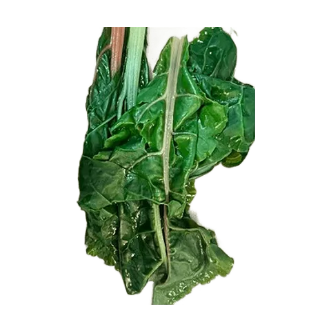 Acelga