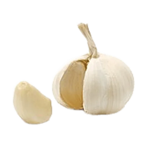 Ajo
