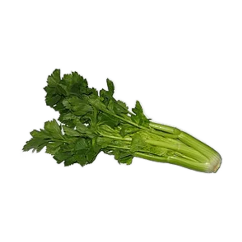 Apio (planta)
