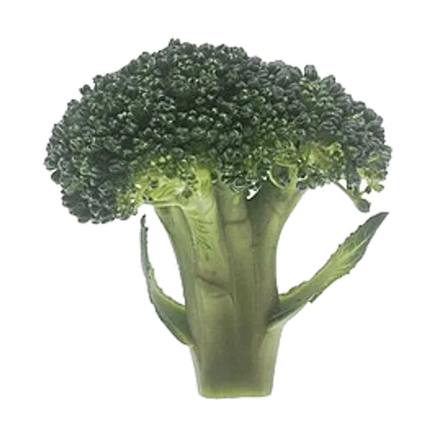 Brócoli