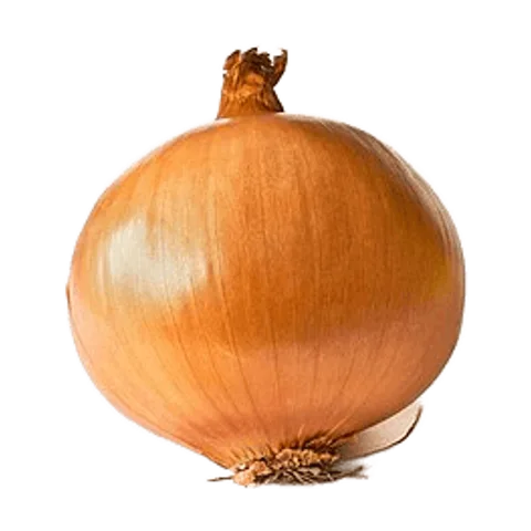 Cebolla