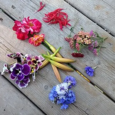 Flores comestibles