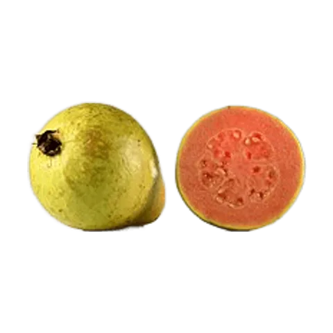 Guayaba