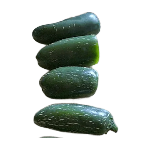 Jalapeño