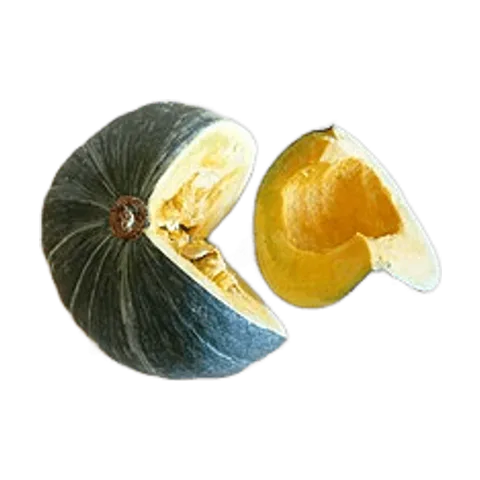 Kabutia