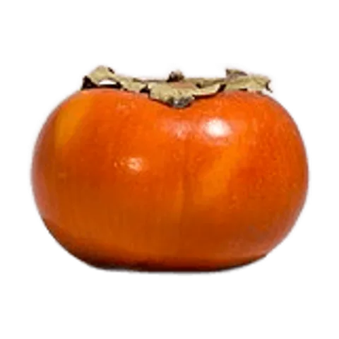 Kaki