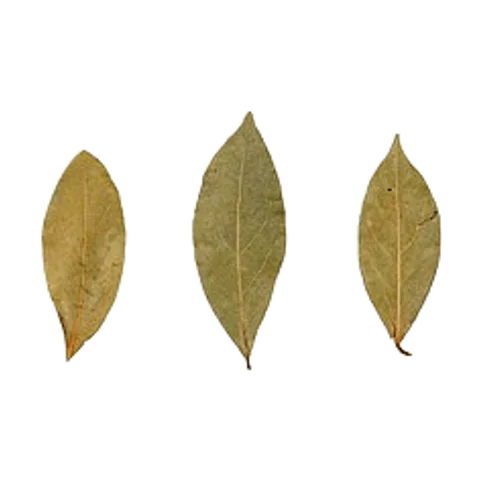 Laurel