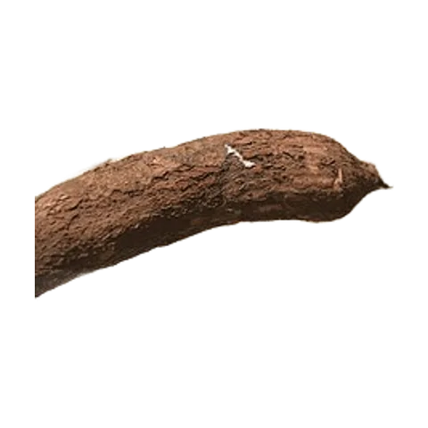 Mandioca