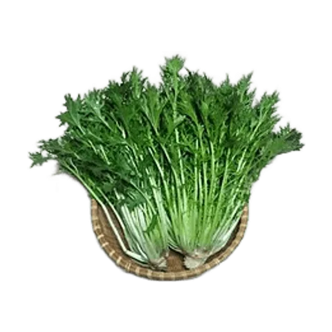 Mizuna