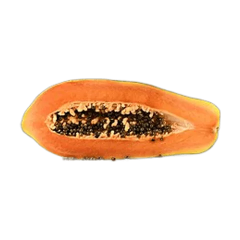 Papaya