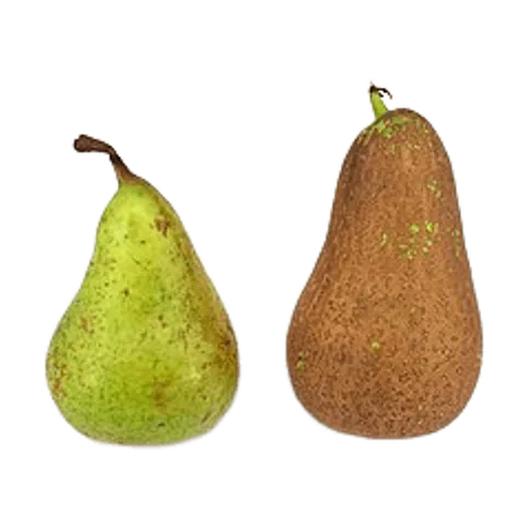 Pera