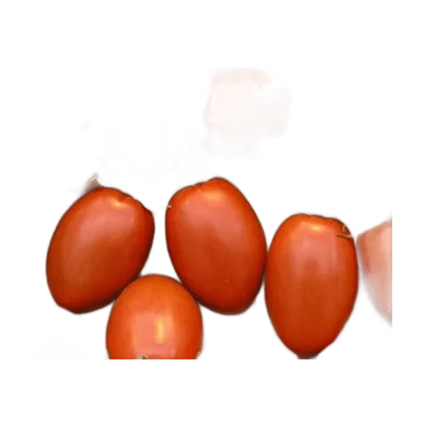 Perita