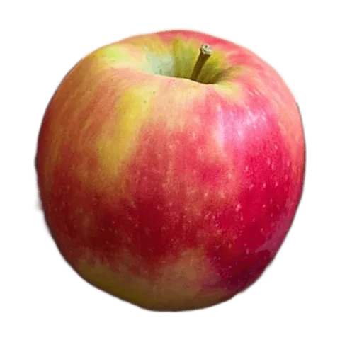 Manzana Pink Lady