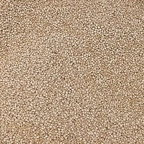Quinoa