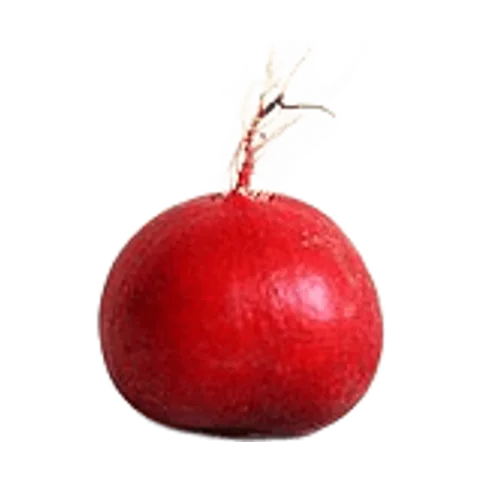 Rabanito