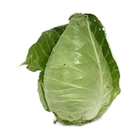 Repollo (B)
